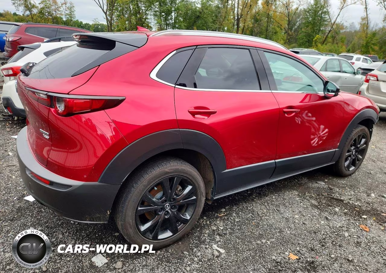 2021 Mazda Cx-30 Premium VIN:3MVDMBDY3MM313143 - 3