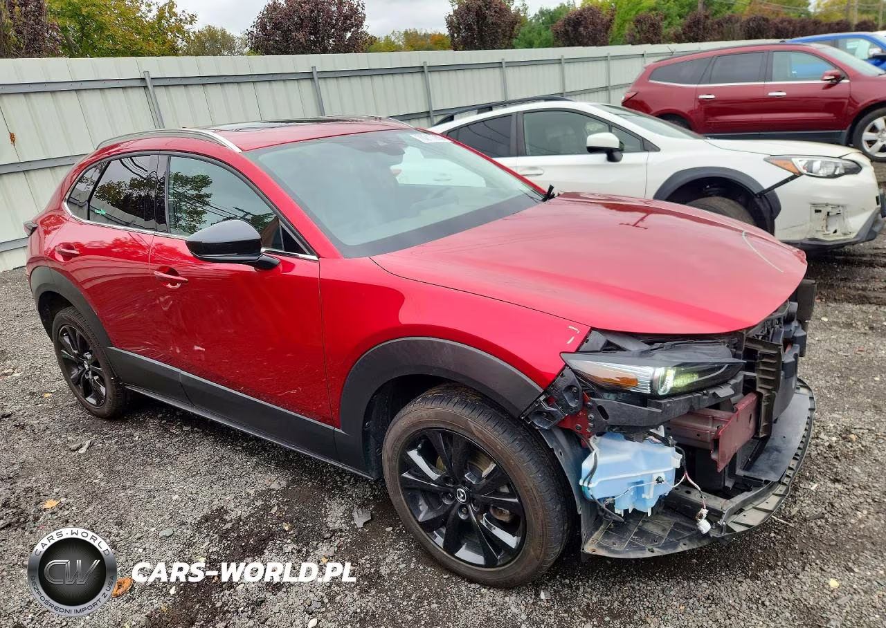 2021 Mazda Cx-30 Premium VIN:3MVDMBDY3MM313143 - 4