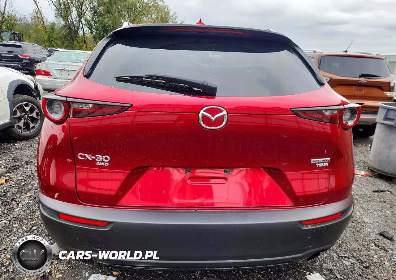 2021 Mazda Cx-30 Premium VIN:3MVDMBDY3MM313143 - 6