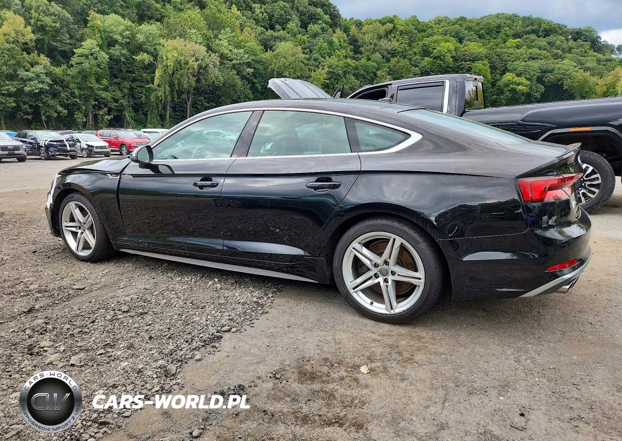 2019 Audi S5 Premium Plus VIN:WAUB4CF57KA016496 - 2
