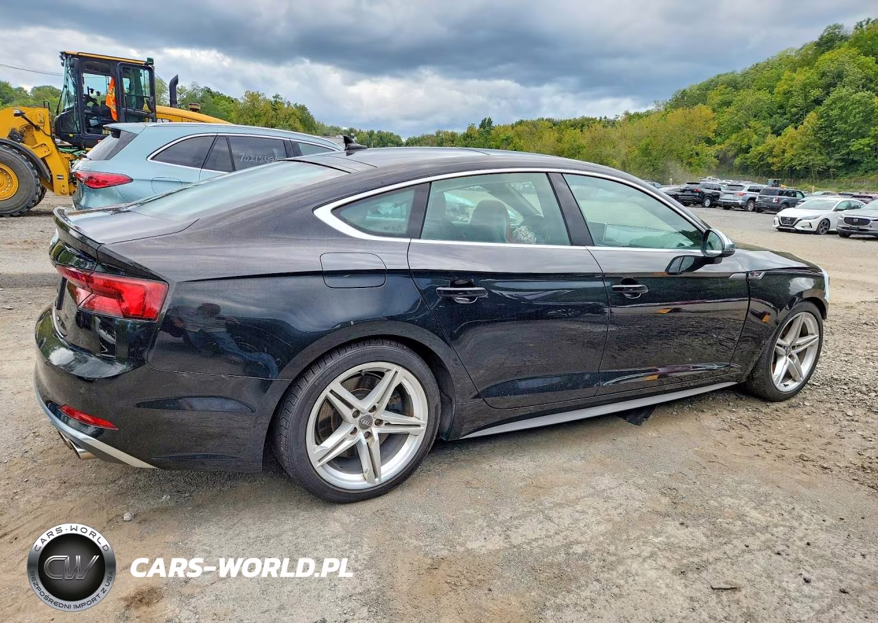 2019 Audi S5 Premium Plus VIN:WAUB4CF57KA016496 - 3