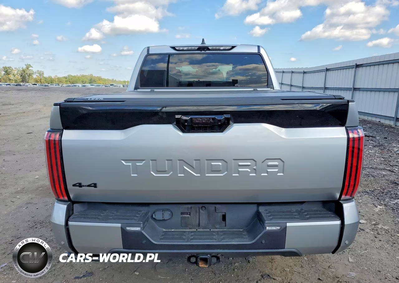 2024 Toyota Tundra Platinum VIN:5TFNA5DB3RX182499 - 6
