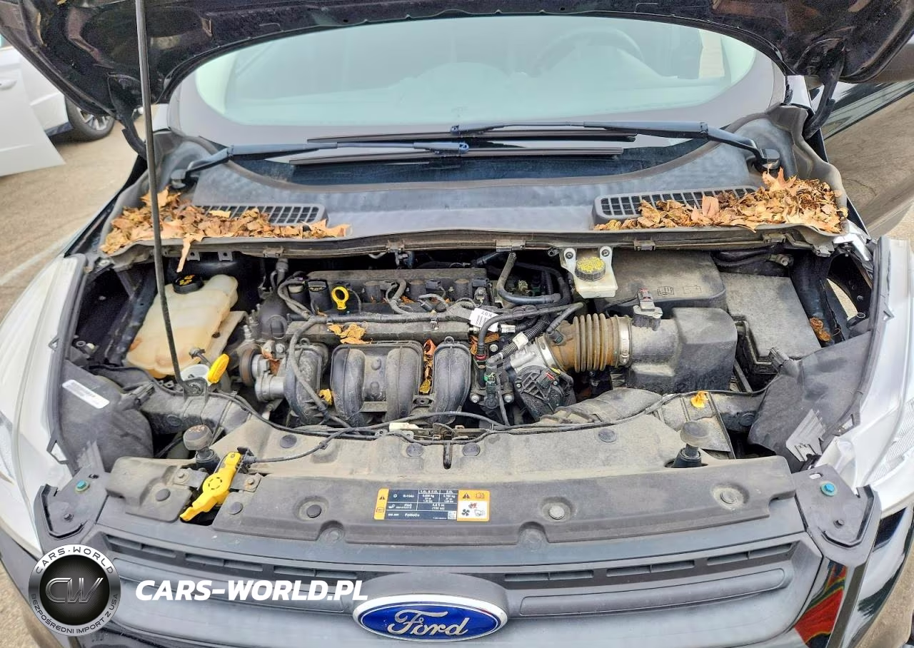 2016 Ford Escape S VIN:1FMCU0F72GUC23001 - 12