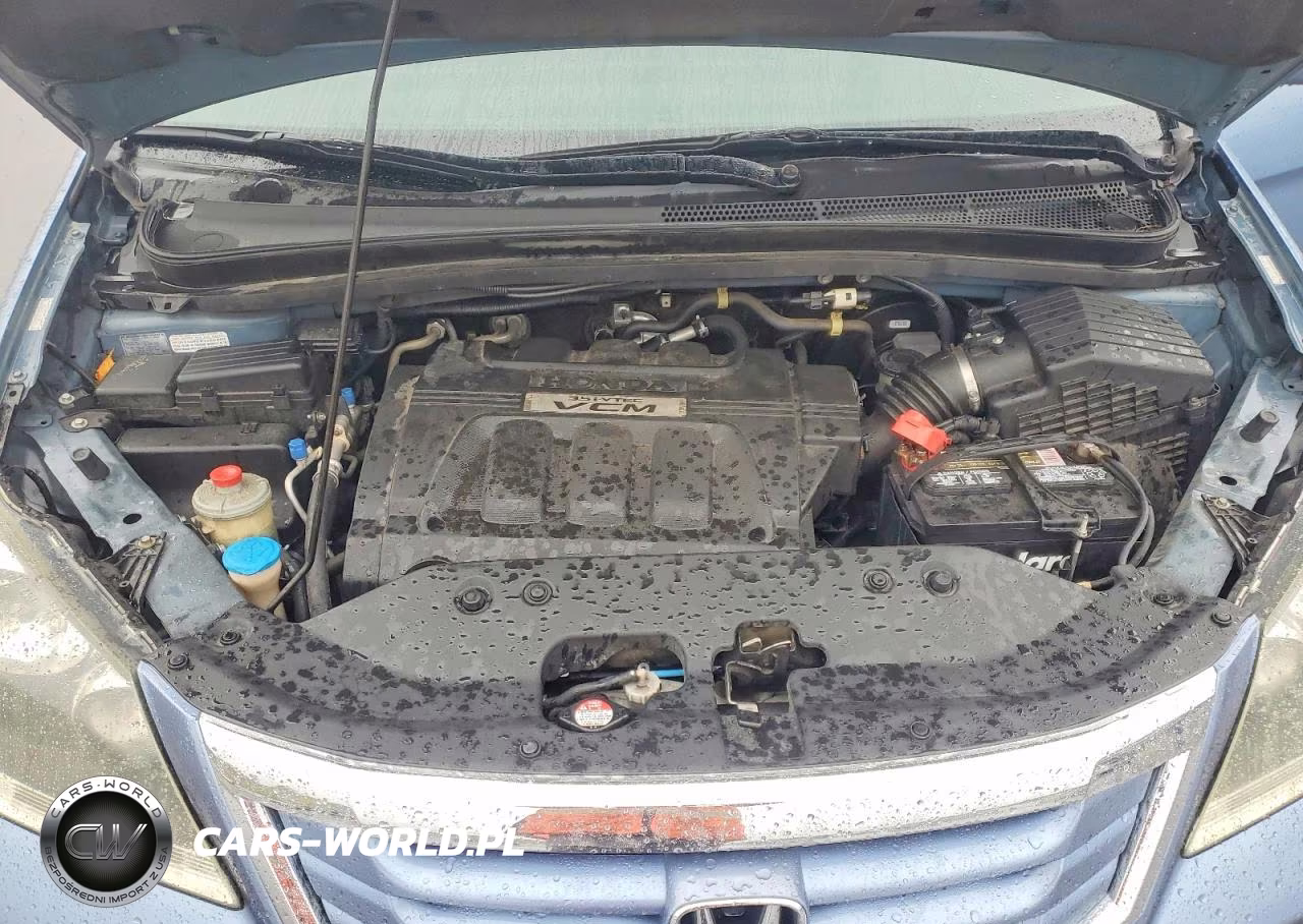2009 Honda Odyssey Exl VIN:5FNRL38629B034125 - 12