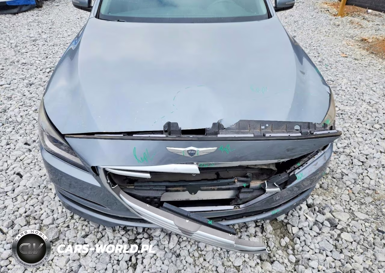 2015 Hyundai Genesis 3.8L VIN:KMHGN4JE7FU074515 - 11