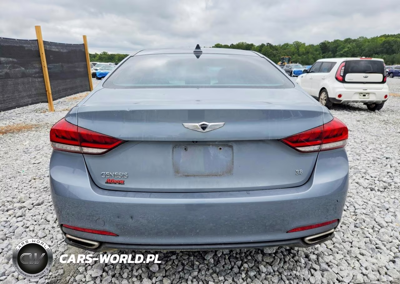 2015 Hyundai Genesis 3.8L VIN:KMHGN4JE7FU074515 - 6