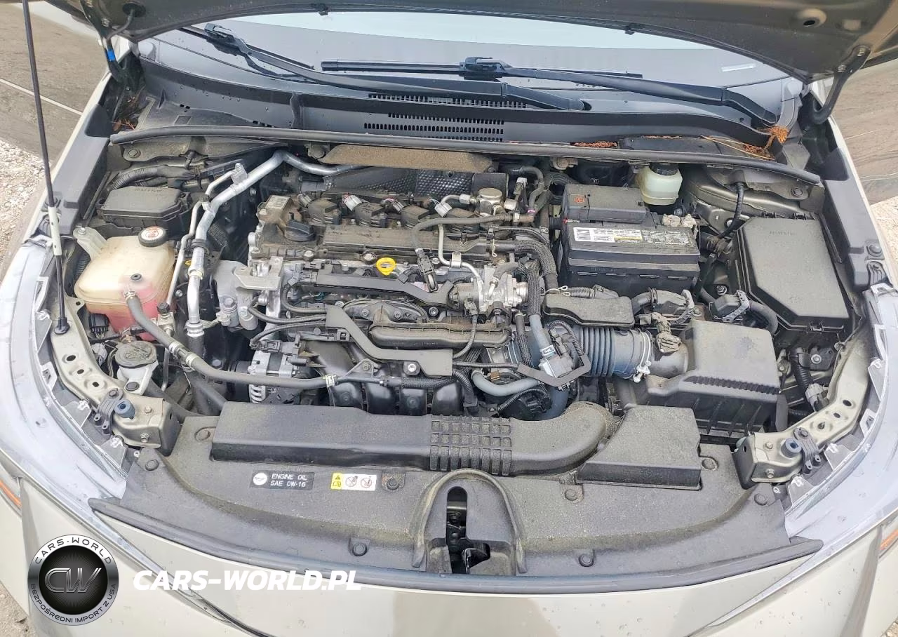 2019 Toyota Corolla Hatchback Se VIN:JTNK4RBE9K3024353 - 11