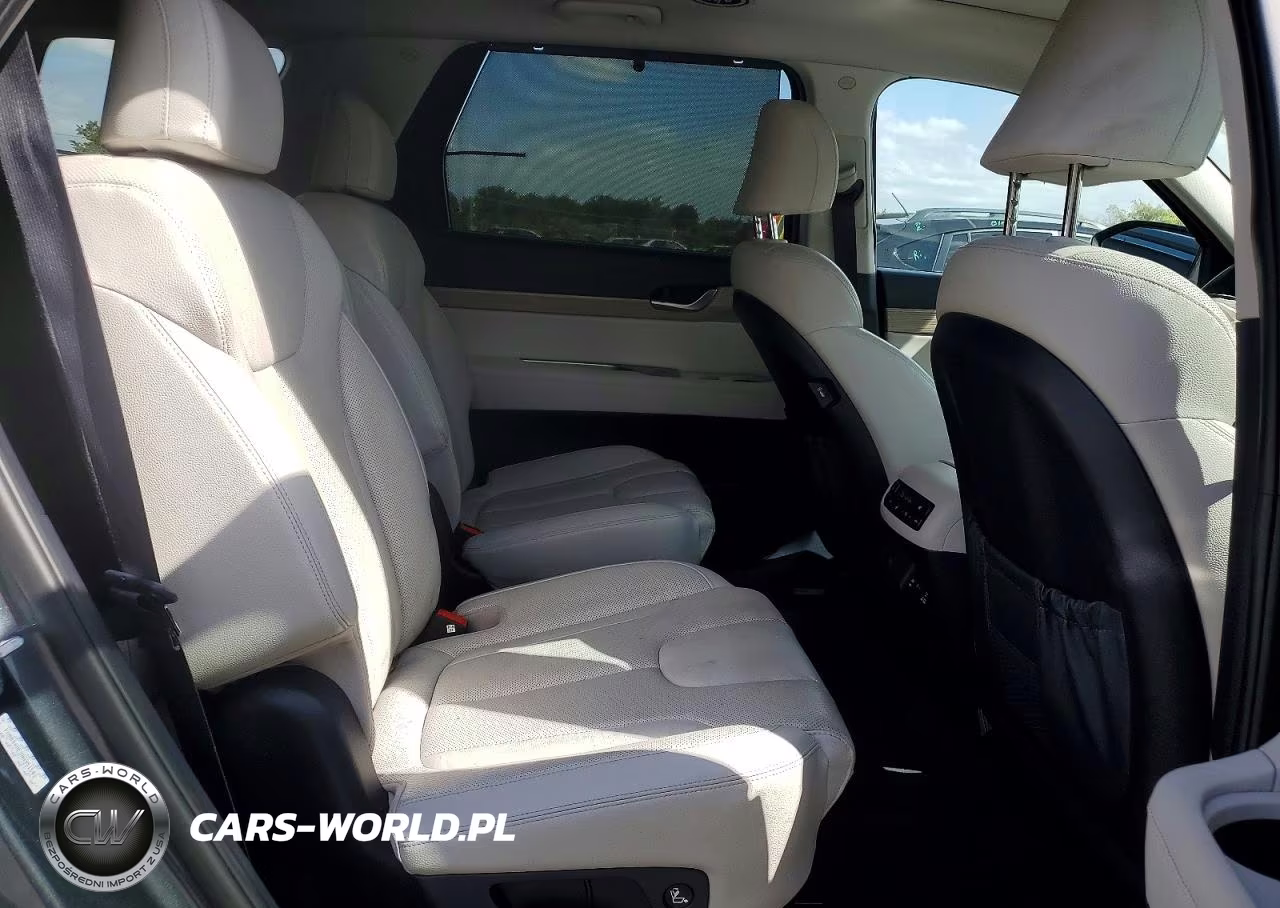 2022 Hyundai Palisade Sel VIN:KM8R44HE3NU351502 - 10