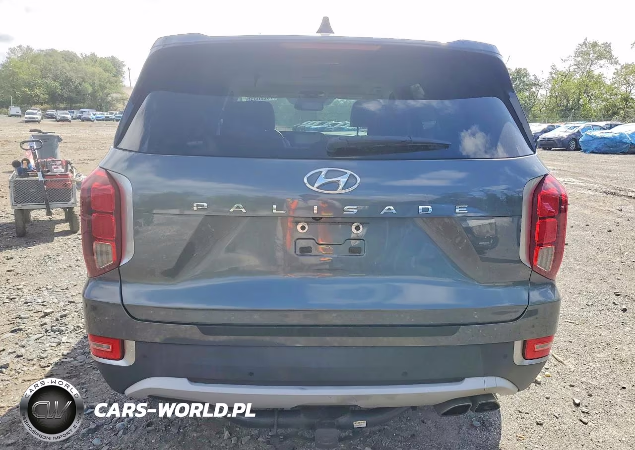 2022 Hyundai Palisade Sel VIN:KM8R44HE3NU351502 - 6