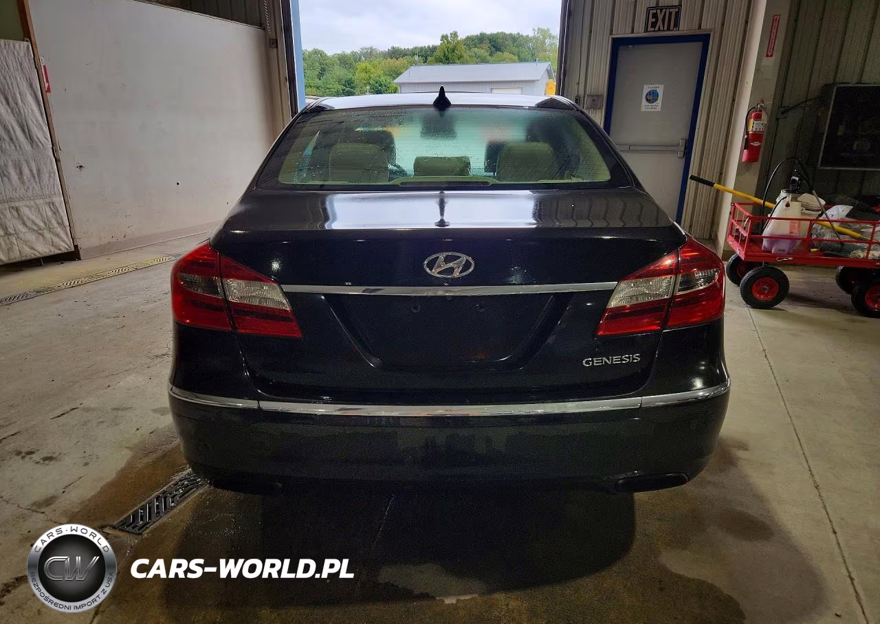 2014 Hyundai Genesis 3.8L VIN:KMHGC4DD2EU264312 - 6