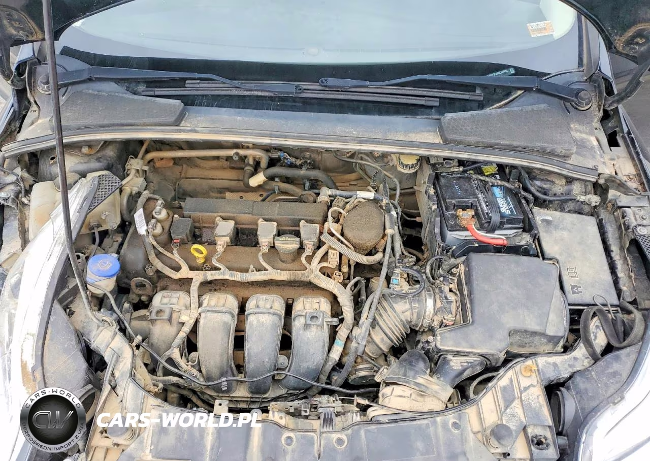 2013 Ford Focus Se VIN:1FADP3F29DL207651 - 11