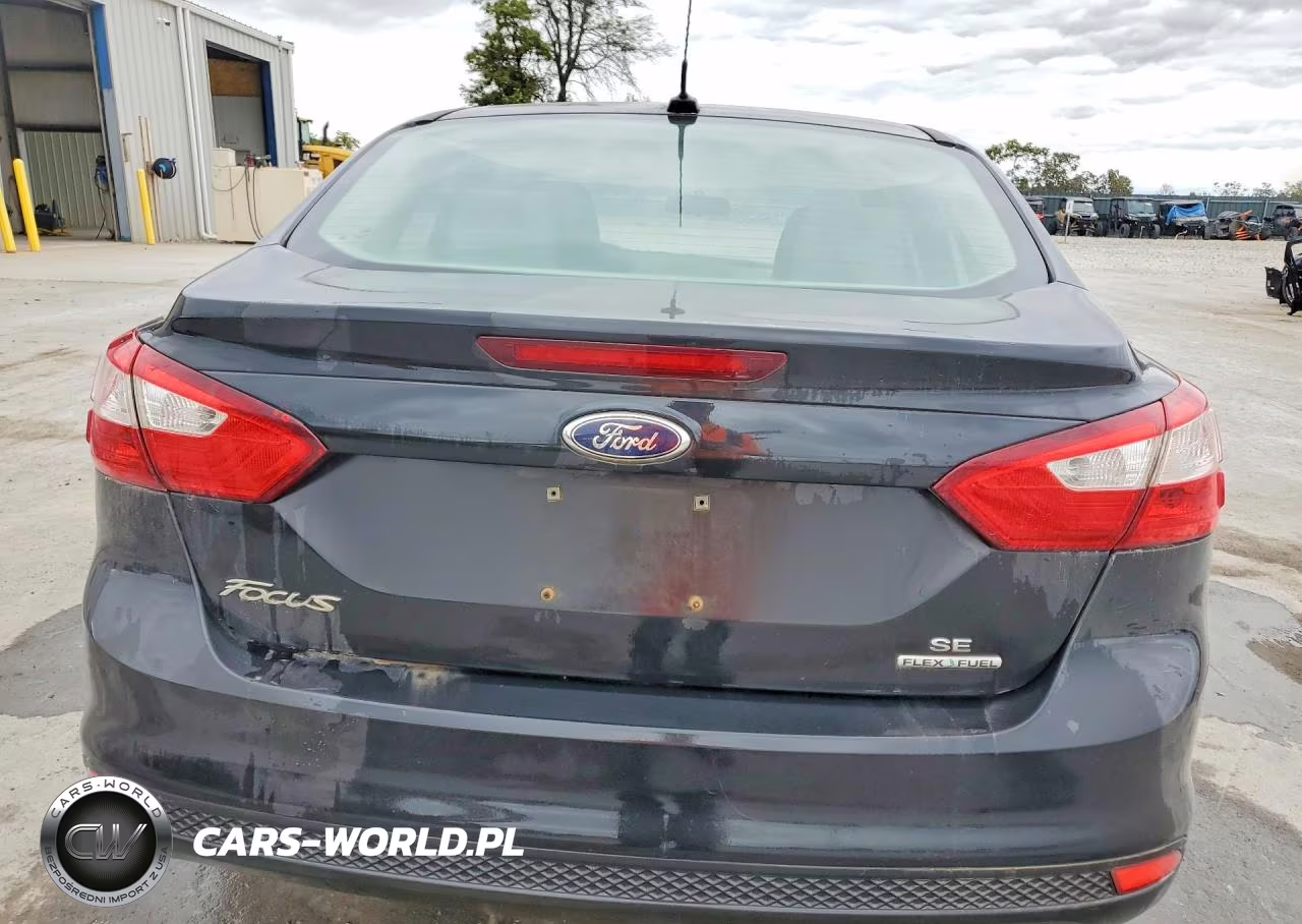 2013 Ford Focus Se VIN:1FADP3F29DL207651 - 6
