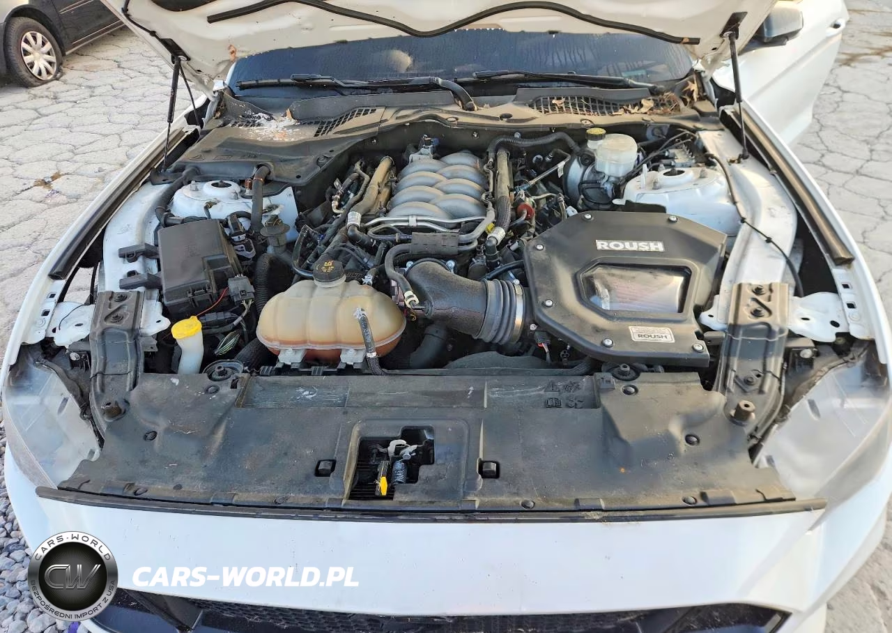 2019 Ford Mustang Gt VIN:1FA6P8CF5K5115192 - 11