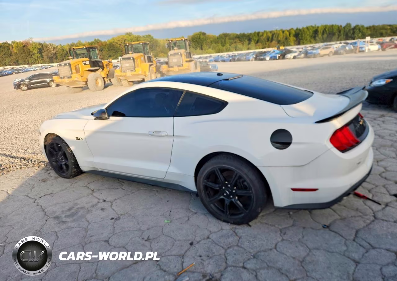 2019 Ford Mustang Gt VIN:1FA6P8CF5K5115192 - 2