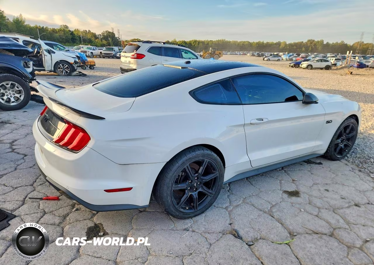 2019 Ford Mustang Gt VIN:1FA6P8CF5K5115192 - 3