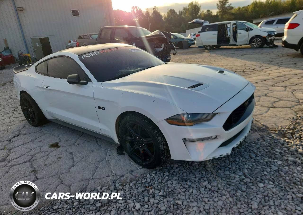 2019 Ford Mustang Gt VIN:1FA6P8CF5K5115192 - 4