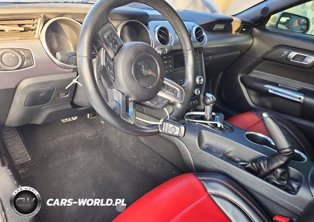 2019 Ford Mustang Gt VIN:1FA6P8CF5K5115192 - 8