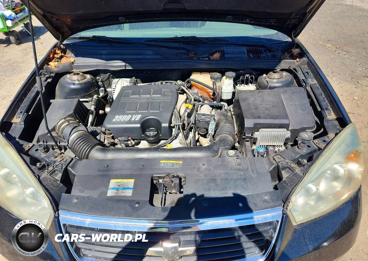 2006 Chevrolet Malibu Maxx Lt VIN:1G1ZT61876F199407 - 11