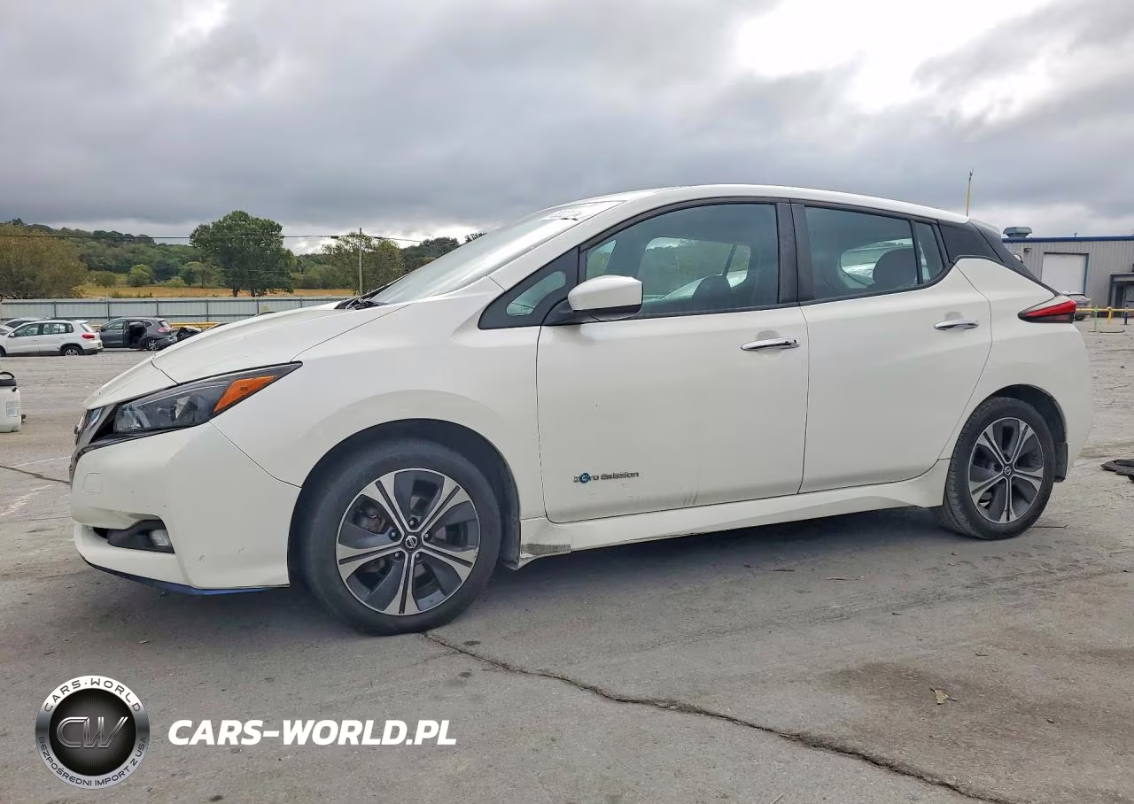 2019 Nissan Leaf Sv Plus