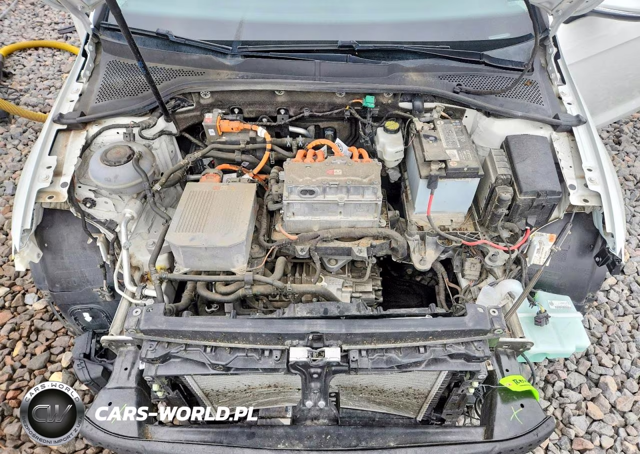 2019 Volkswagen E-Golf Se VIN:WVWKR7AU4KW903406 - 11