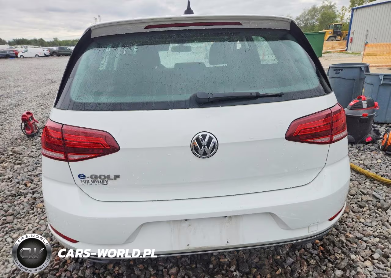 2019 Volkswagen E-Golf Se VIN:WVWKR7AU4KW903406 - 6