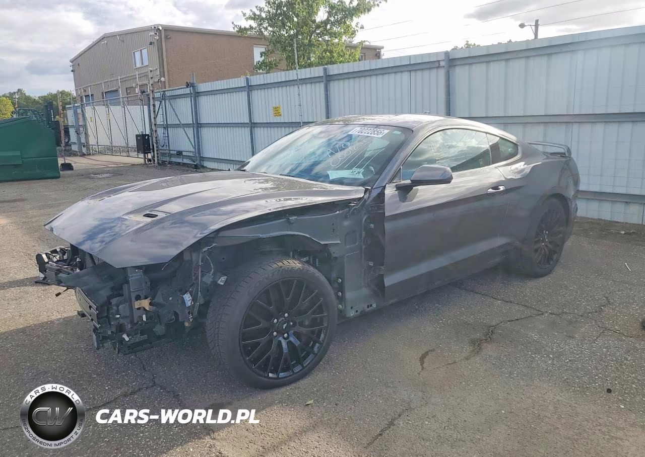 2021 Ford Mustang Gt VIN:1FA6P8CF1M5129884 - 1