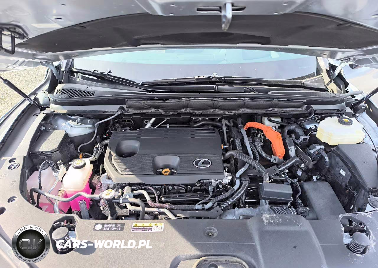 2024 Lexus Rx 350H Premium+ VIN:2T2BBMCA1RC031724 - 12