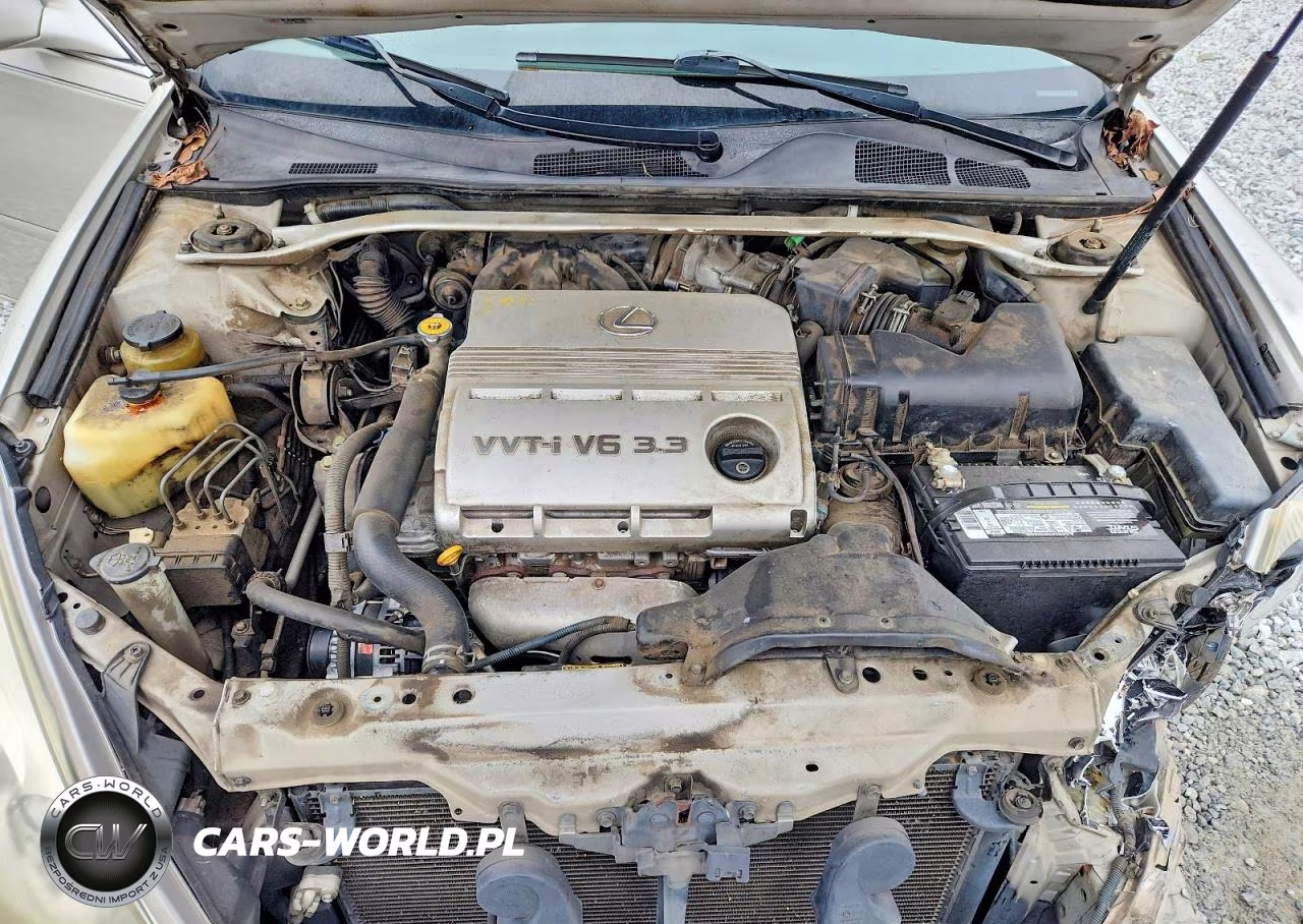 2004 Lexus Es 330 VIN:JTHBA30GX45008697 - 11