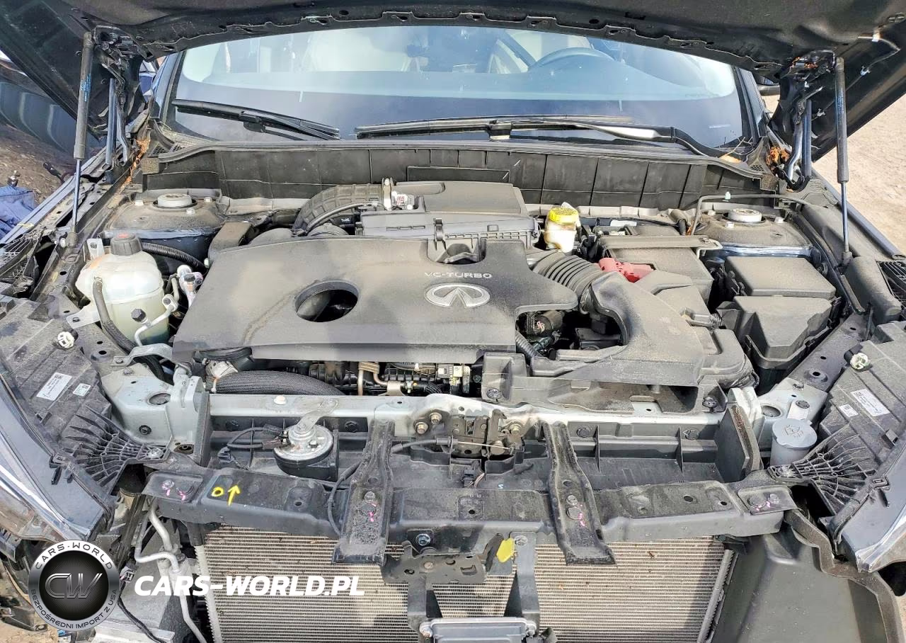 2023 Infiniti Qx50 Awd Luxe VIN:3PCAJ5BB4PF121378 - 12