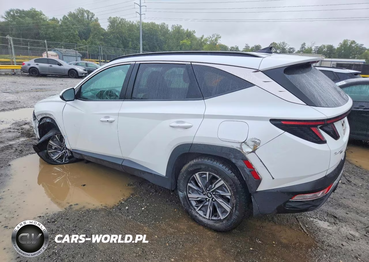2022 Hyundai Tucson Blue VIN:KM8JBCA18NU081445 - 2