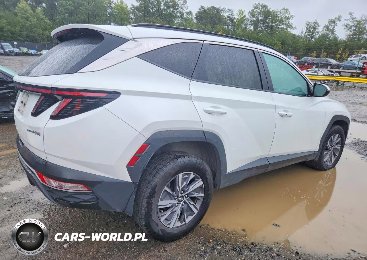 2022 Hyundai Tucson Blue VIN:KM8JBCA18NU081445 - 3