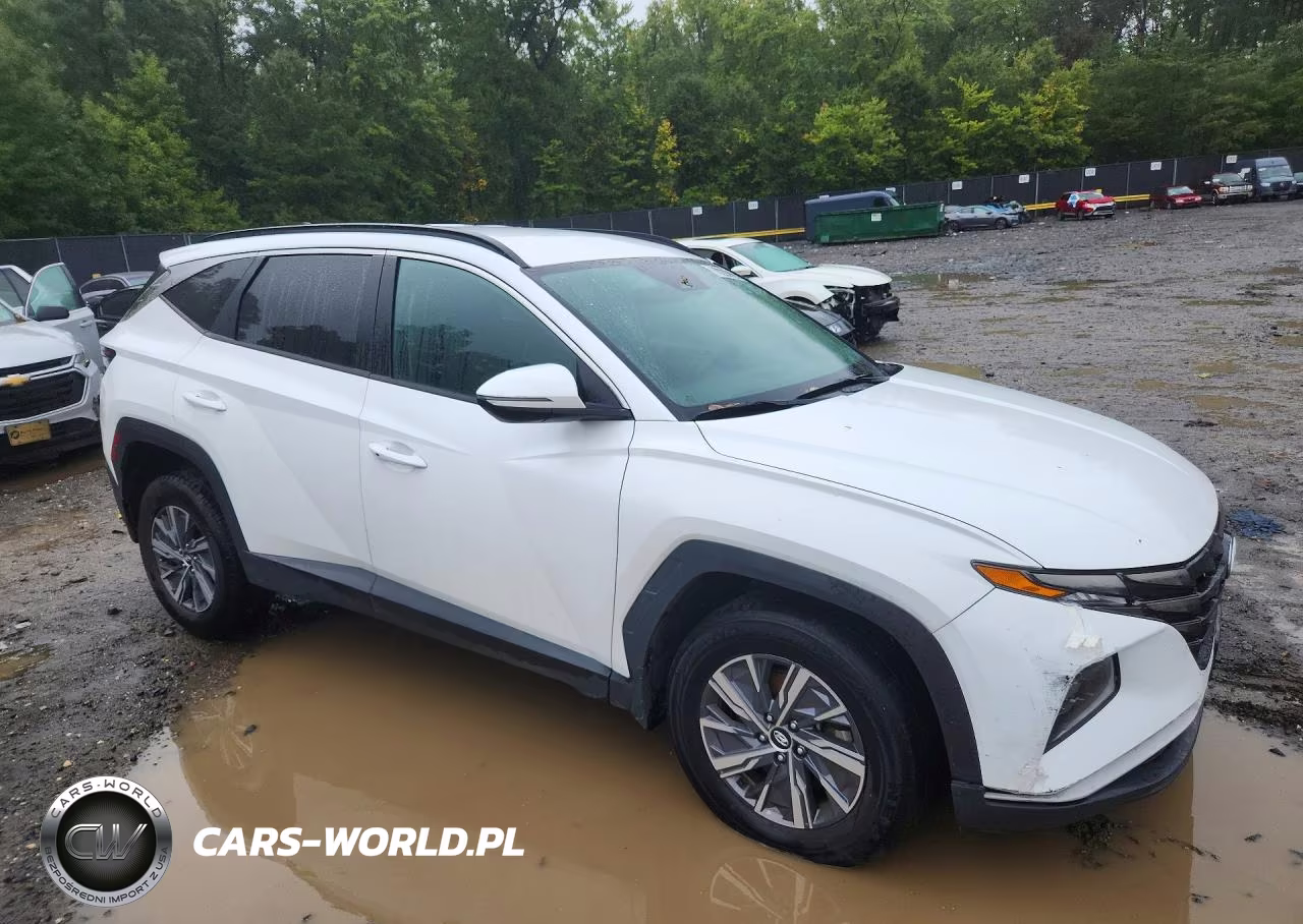 2022 Hyundai Tucson Blue VIN:KM8JBCA18NU081445 - 4