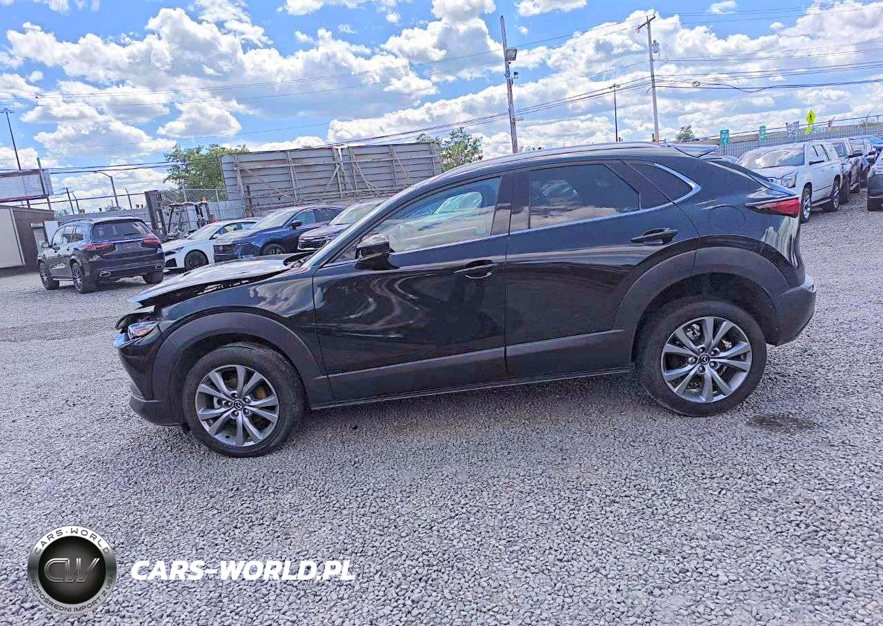 2024 Mazda Cx-30 Premium VIN:3MVDMBDM2RM659513 - 13