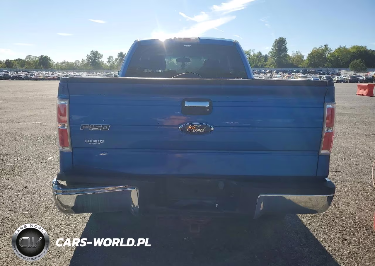 2009 Ford F150 Super Cab VIN:1FTRX14849FB15879 - 6