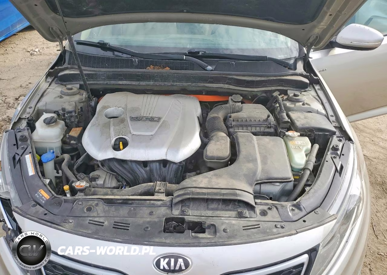 2013 Kia Optima Hybrid VIN:KNAGM4AD6D5037927 - 11