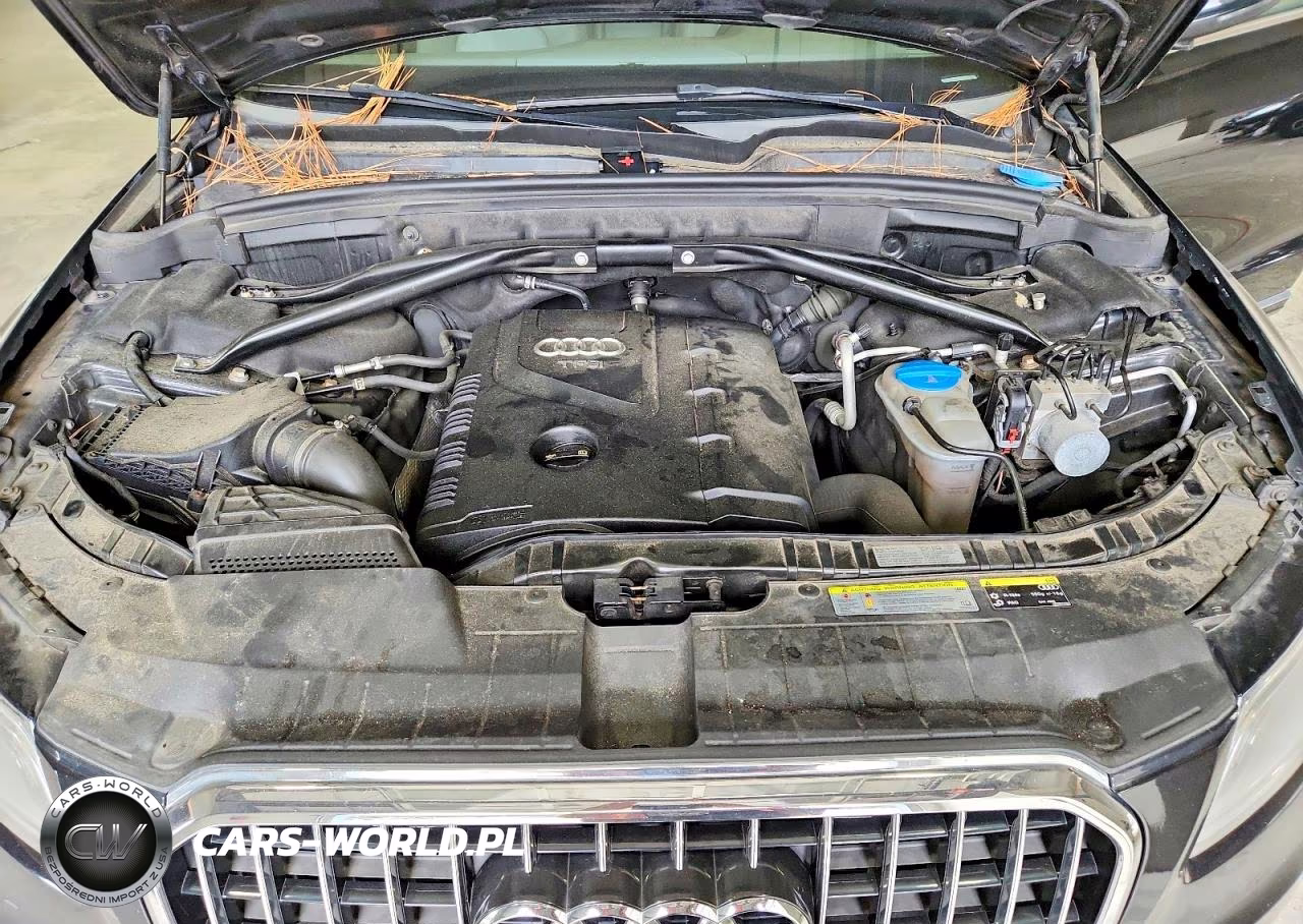 2015 Audi Q5 Premium Plus VIN:WA1LFAFP3FA062057 - 12