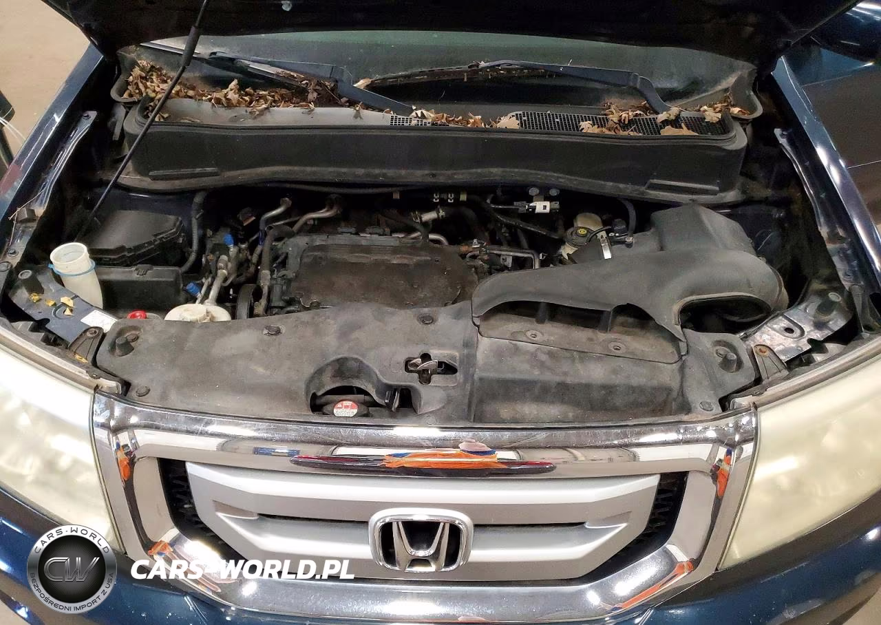2009 Honda Pilot Exl VIN:5FNYF486X9B033264 - 12