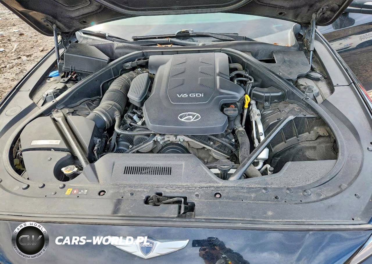 2016 Hyundai Genesis 3.8L VIN:KMHGN4JE1GU108188 - 11
