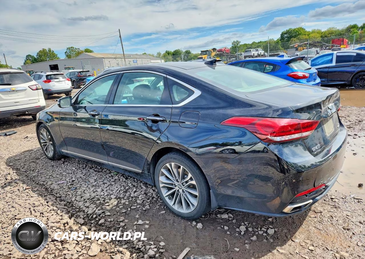 2016 Hyundai Genesis 3.8L VIN:KMHGN4JE1GU108188 - 2