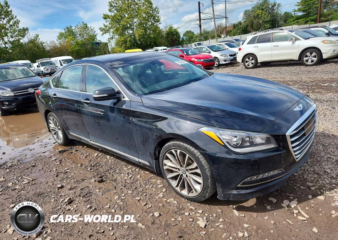 2016 Hyundai Genesis 3.8L VIN:KMHGN4JE1GU108188 - 4