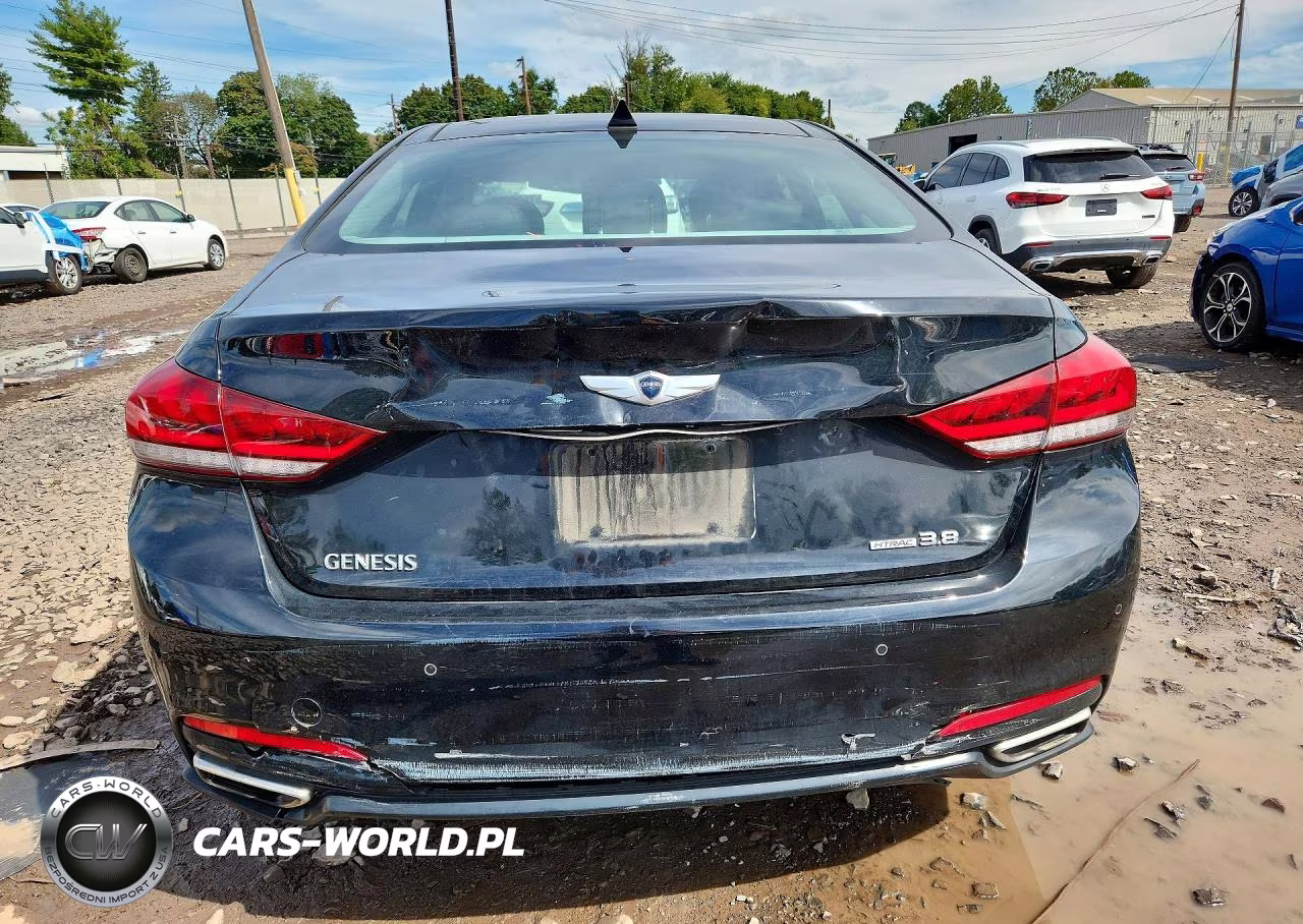 2016 Hyundai Genesis 3.8L VIN:KMHGN4JE1GU108188 - 6