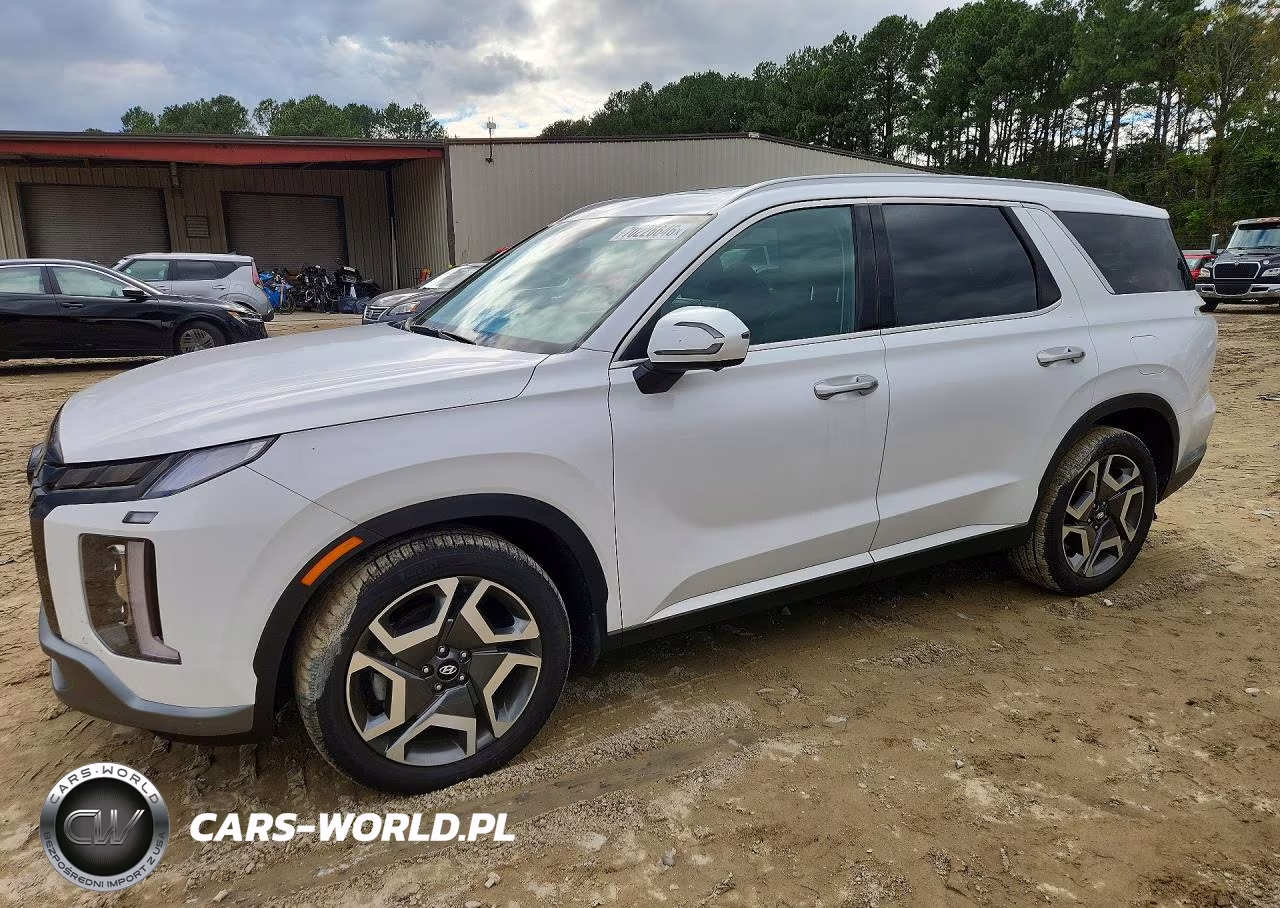 2025 Hyundai Palisade Sel Premium VIN:KM8R4DGE1SU854586 - 1