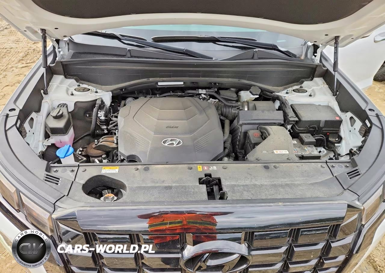 2025 Hyundai Palisade Sel Premium VIN:KM8R4DGE1SU854586 - 12