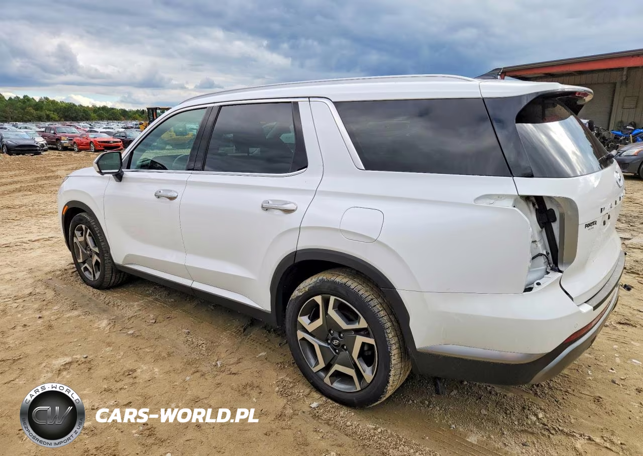 2025 Hyundai Palisade Sel Premium VIN:KM8R4DGE1SU854586 - 2