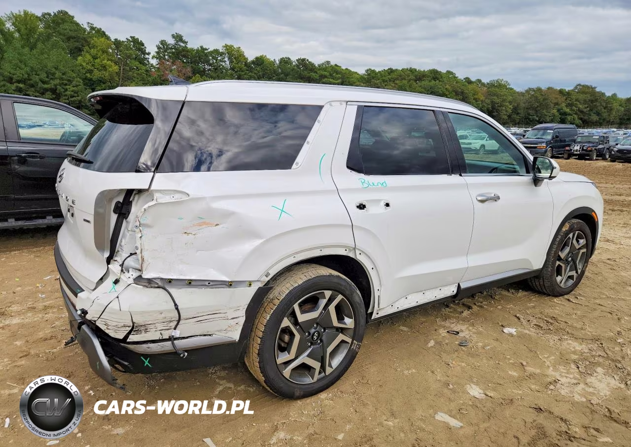 2025 Hyundai Palisade Sel Premium VIN:KM8R4DGE1SU854586 - 3