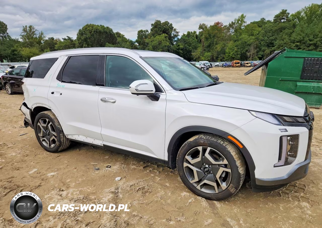 2025 Hyundai Palisade Sel Premium VIN:KM8R4DGE1SU854586 - 4