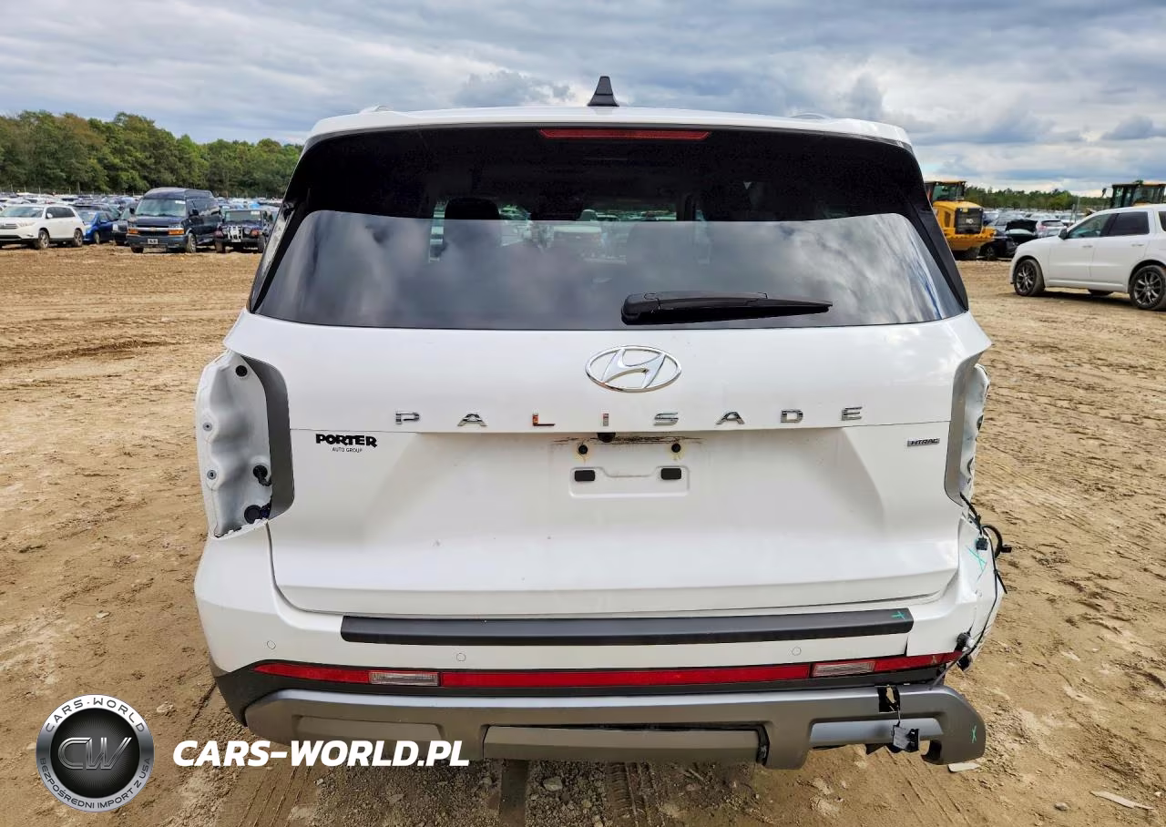 2025 Hyundai Palisade Sel Premium VIN:KM8R4DGE1SU854586 - 6