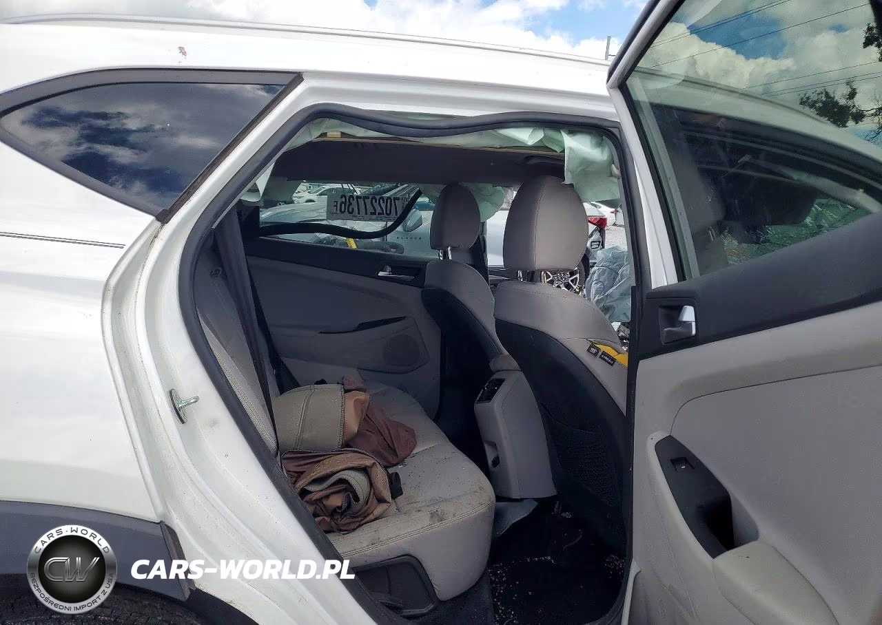 2019 Hyundai Tucson Sel VIN:KM8J33AL5KU055282 - 10
