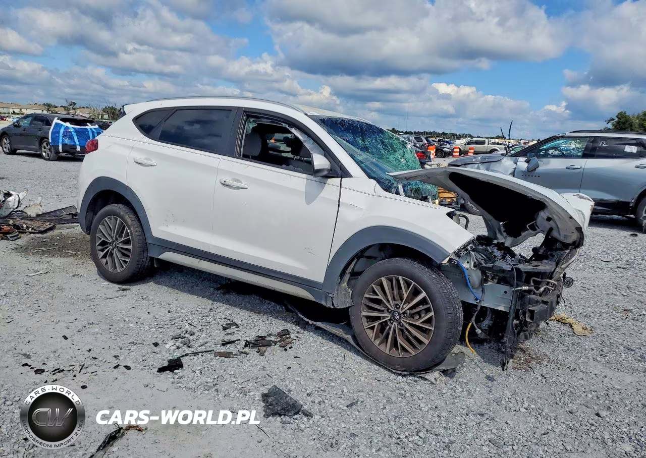 2019 Hyundai Tucson Sel VIN:KM8J33AL5KU055282 - 4
