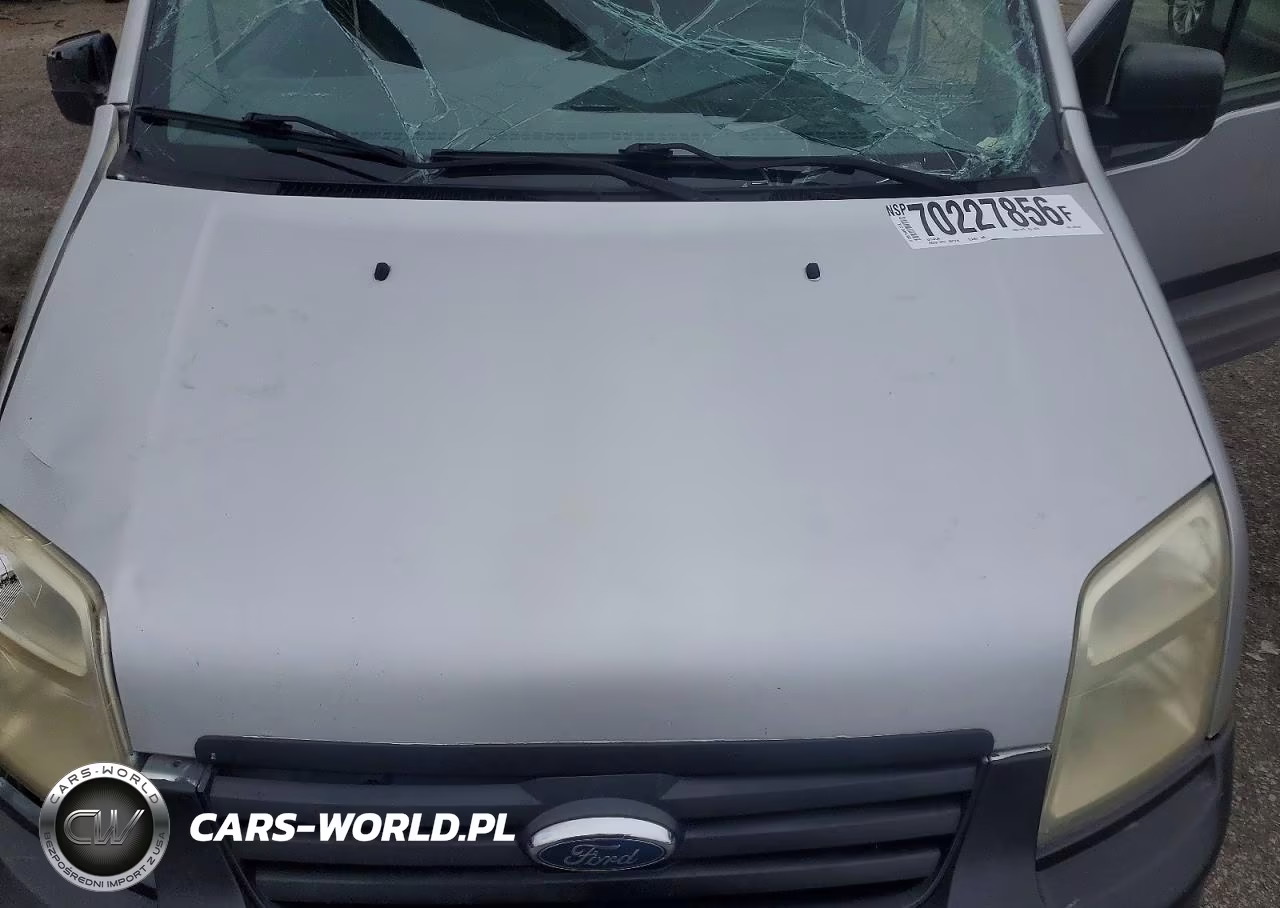 2011 Ford Transit Connect Xl Delivery Van VIN:NM0LS7AN9BT063784 - 11